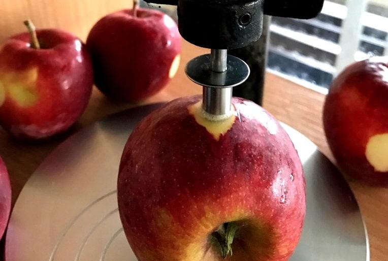 Idared czy Najdared? Odpowiedź jest prosta: GALA. Wywiad z Rafałem Kosińskim z Service2Fruit. Polecamy!