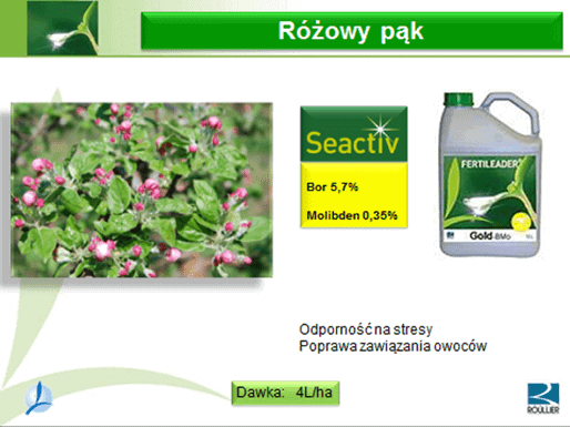rozowy pak