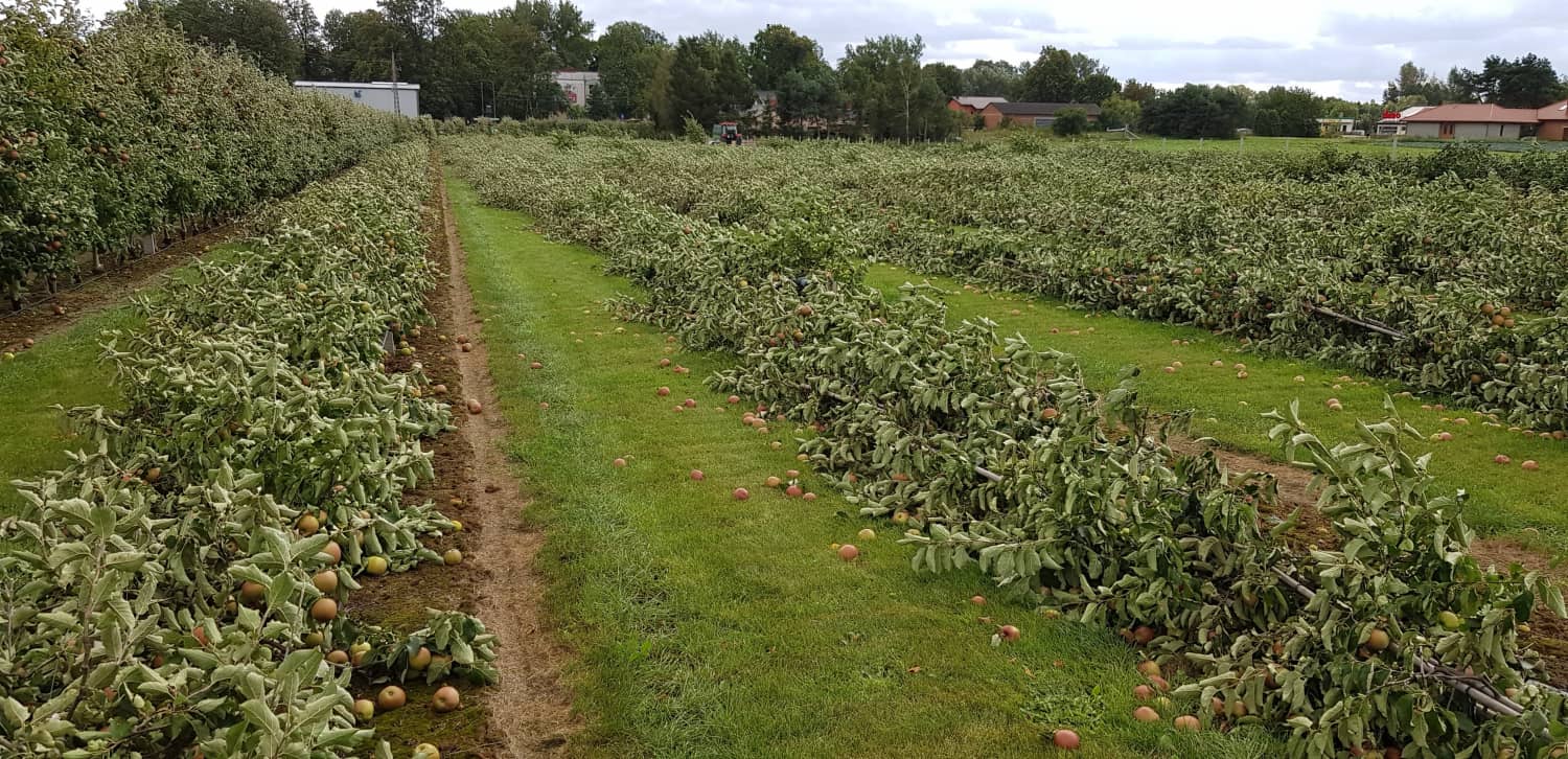 300 tys. zł na odtworzenie potencjału produkcji rolnej