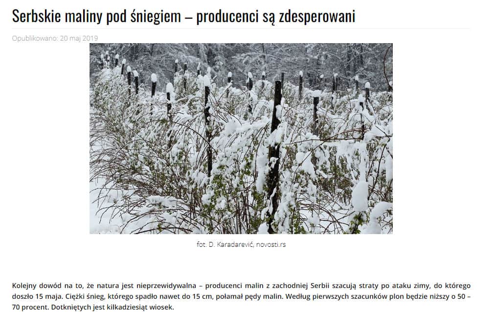 serbskiemaliny