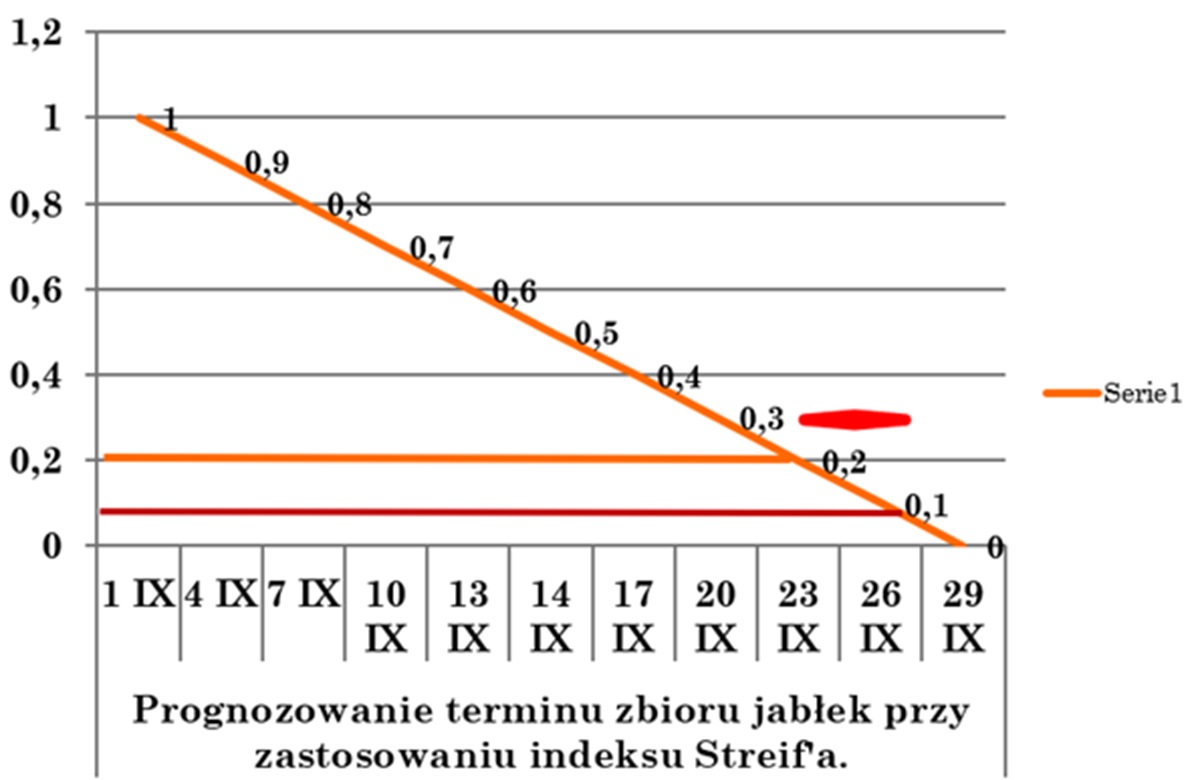 tabeladwasik