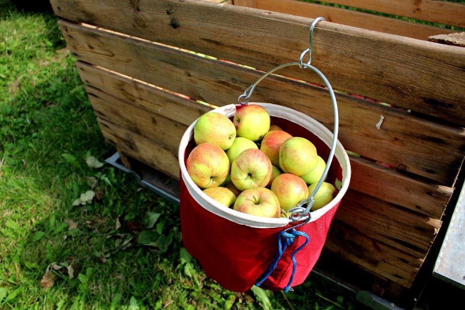 Zbieraki do jabłek – tańsze zamienniki dla fruboxów